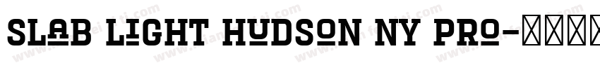Slab Light Hudson NY Pro字体转换
